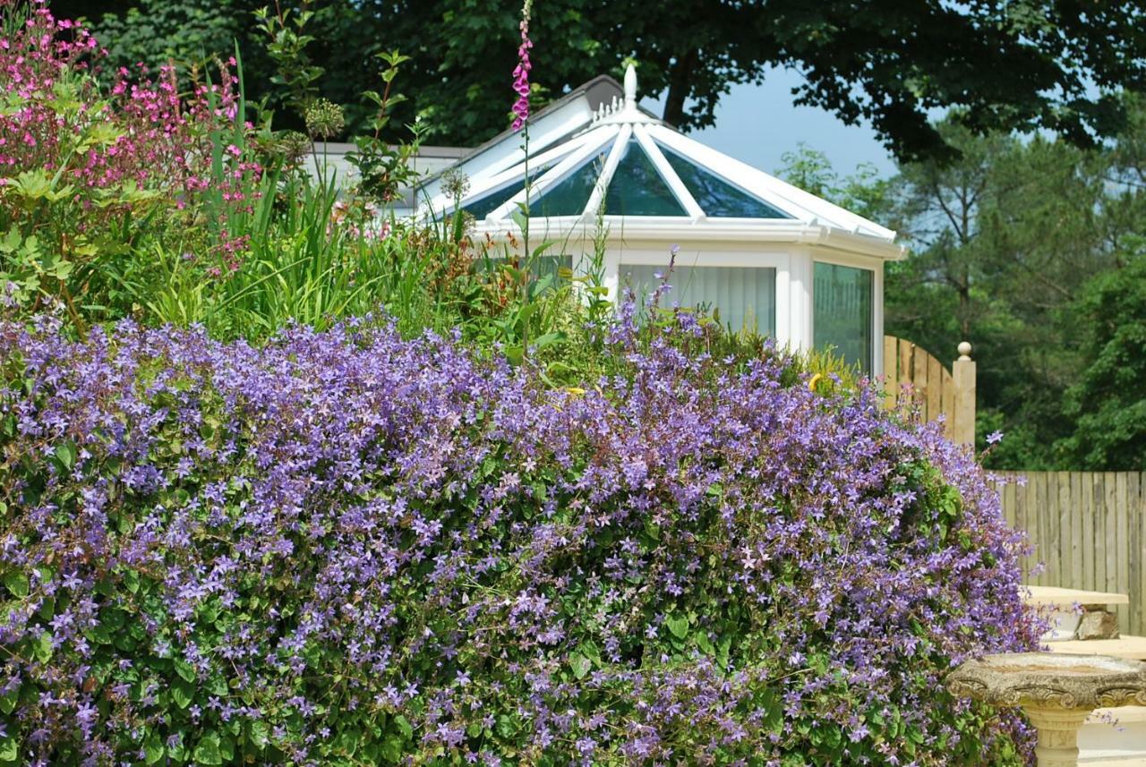 The Lodge, Polgooth St Austell Dış mekan fotoğraf